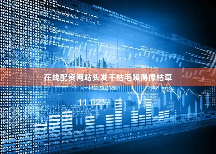 在线配资网站头发干枯毛躁得像枯草